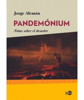 PANDEMONIUM NOTAS SOBRE EL DESASTRE