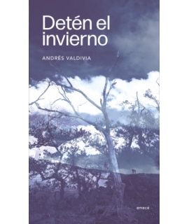 DETEN EL INVIERNO
