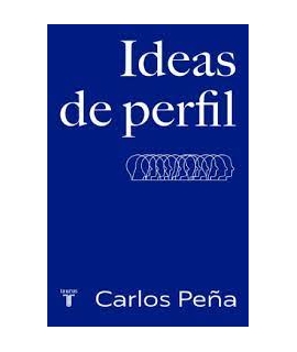 IDEAS DE PERFIL