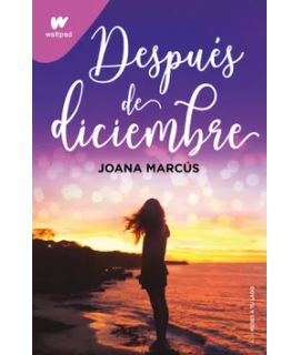 DESPUES DE DICIEMBRE