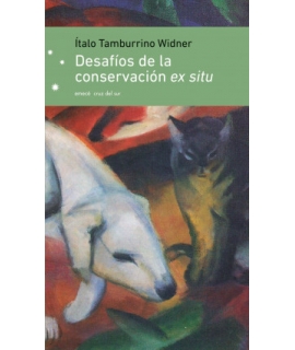 DESAFIOS DE LA CONVERSACION EX SITU