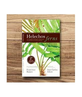 HELECHOS DEL BOSQUE HUMEDO TEMPLADO PATAGONICO EN HUILO HUILO