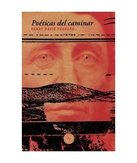 POETICA DEL CAMINAR