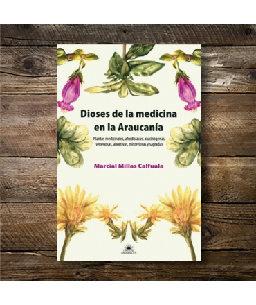 DIOSES DE LA MEDICINA EN LA ARAUCANIA