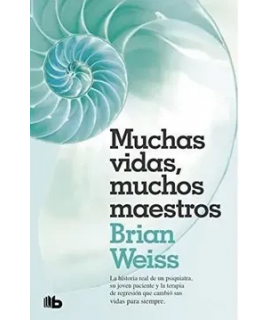 MUCHAS VIDAS MUCHOS MAESTROS