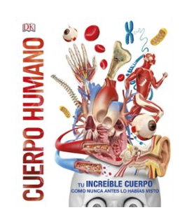 CUERPO HUMANO