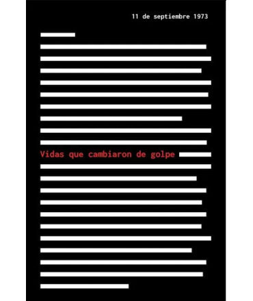 VIDAS QUE CAMBIARON DE GOLPE
