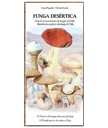 FUNGA DESERTICA GUIA DE RECONOCIMIENTO