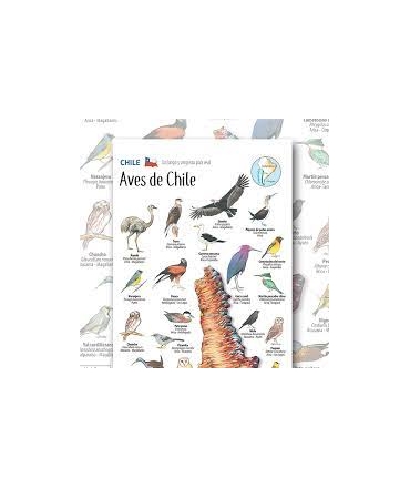 MAPA ILUSTRADO AVES DE CHILE