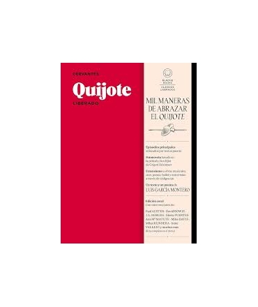 QUIJOTE LIBERADO