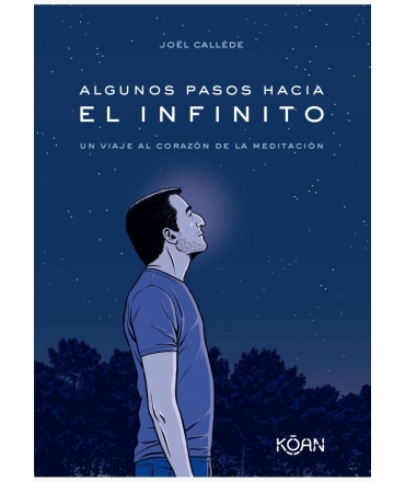ALGUNOS PASOS HACIA EL INFINITO