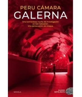GALERNA UNA TORMETOSA NOCHE DE INVESTIGACION EN SAN SEBASTIAN