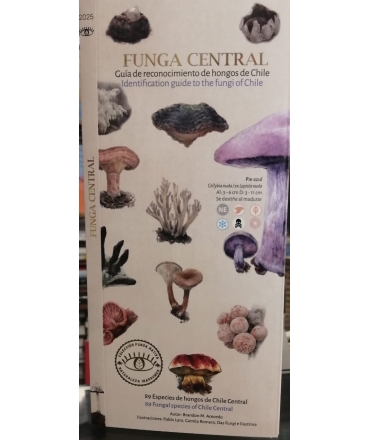 FUNGA CENTRAL