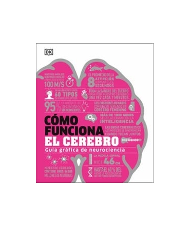 COMO FUNCIONA EL CEREBRO GUIA GRAFICA DE NEUROCIENCIA