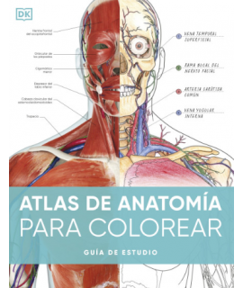 ATLAS DE ANATOMIA PARA COLOREAR GUIA DE ESTUDIO