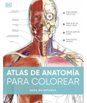 ATLAS DE ANATOMIA PARA COLOREAR GUIA DE ESTUDIO