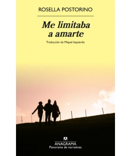 ME LIMITABA A AMARTE