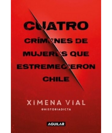 CUATRO CRIMENES DE MUJERES QUE ESTREMECIERON CHILE