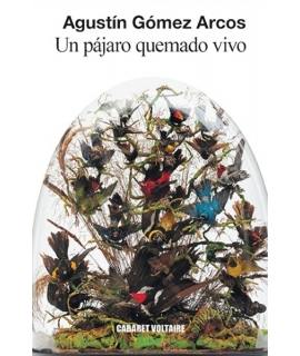 UN PAJARO QUEMADO VIVO