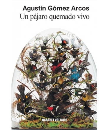 UN PAJARO QUEMADO VIVO
