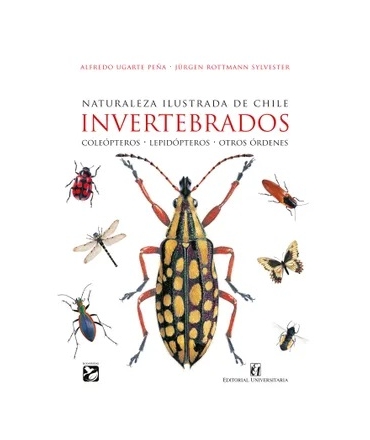 NATURALEZA ILUSTRADA DE CHILE INVERTEBRADOS