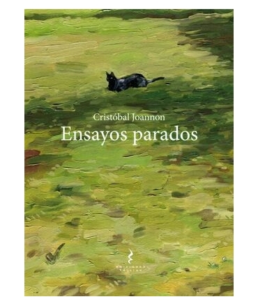 ENSAYOS PARADOS