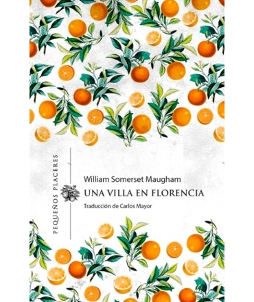 UNA VILLA EN FLORENCIA