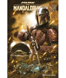 STAR WARS THE MANDALORIAN