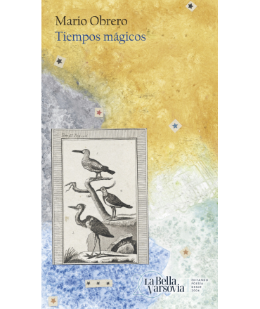 TIEMPOS MAGICOS