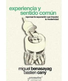 EXPERIENCIA Y SENTIDO COMUN 