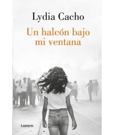 UN HALCON BAJO MI VENTANA