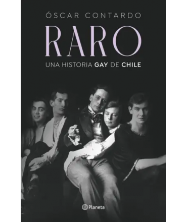 RARO Una historia gay de Chile
