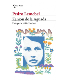 ZANJON DE LA AGUADA