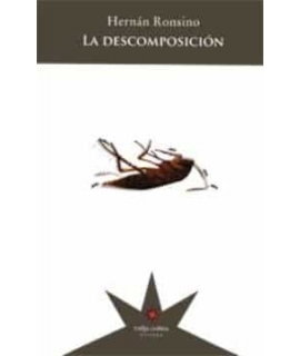 LA DESCOMPOSICION