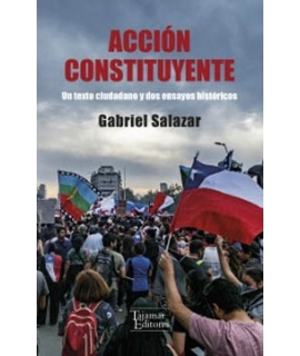 ACCION CONSTITUYENTE UN TEXTO CIUDADANO Y DOS ENSAYOS HISTORICOS
