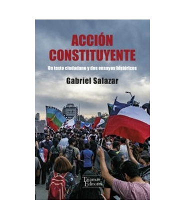 ACCION CONSTITUYENTE UN TEXTO CIUDADANO Y DOS ENSAYOS HISTORICOS