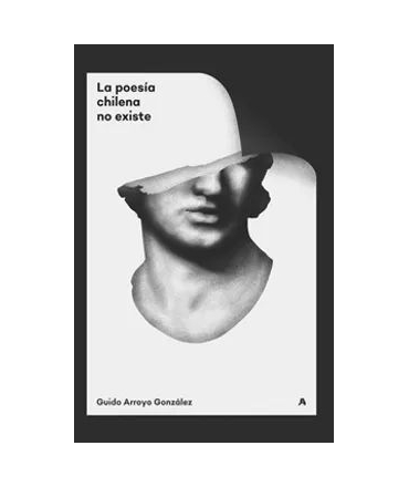 POESIA CHILENA NO EXISTE LA