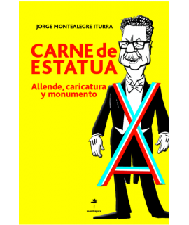 Carne de estatua. Allende, caricatura y monumento