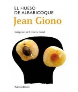 EL HUESO DEL ALBARICOQUE