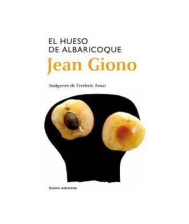 EL HUESO DEL ALBARICOQUE