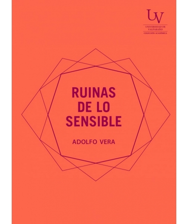 RUINAS DE LO SENSIBLE
