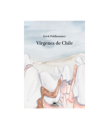 VIRGENES DE CHILE