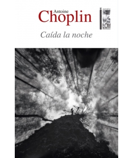 CAIDA LA NOCHE