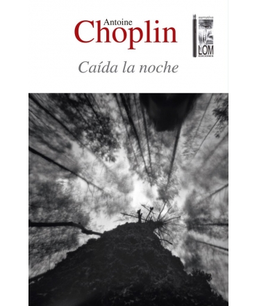 CAIDA LA NOCHE