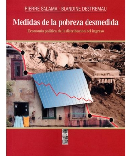 MEDIDAS DE LA POBREZA DESMEDIDA