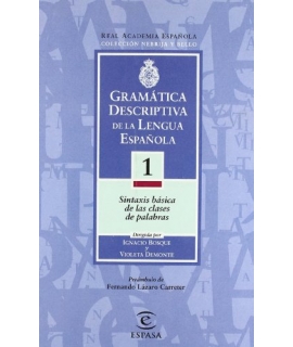 GRAMATICA DESCRIPTIVA DE LA LENGUA ESPAÑOLA. TOMO I