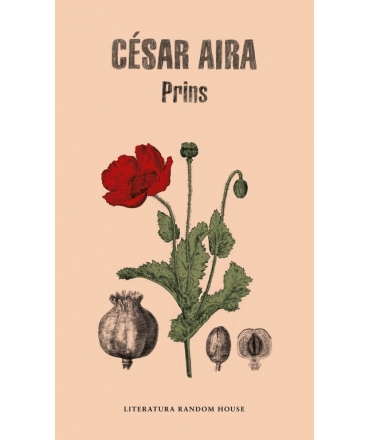 Prins