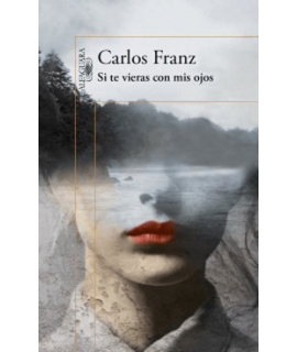 SI TE VIERAS CON MIS OJOS
