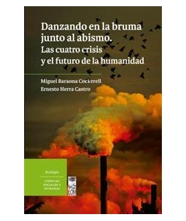 DANZANDO EN LA BRUMA JUNTO AL ABISMO