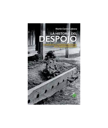 HISTORIA DE UN DESPOJO, LA